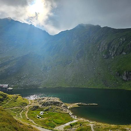 Casa Oaspeti Transfagarasan Appartement Cîrţişoara Buitenkant foto