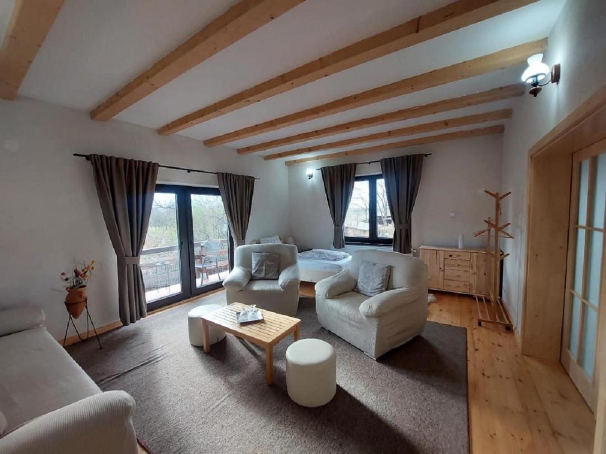 Casa Oaspeti Transfagarasan Appartement Cîrţişoara Buitenkant foto