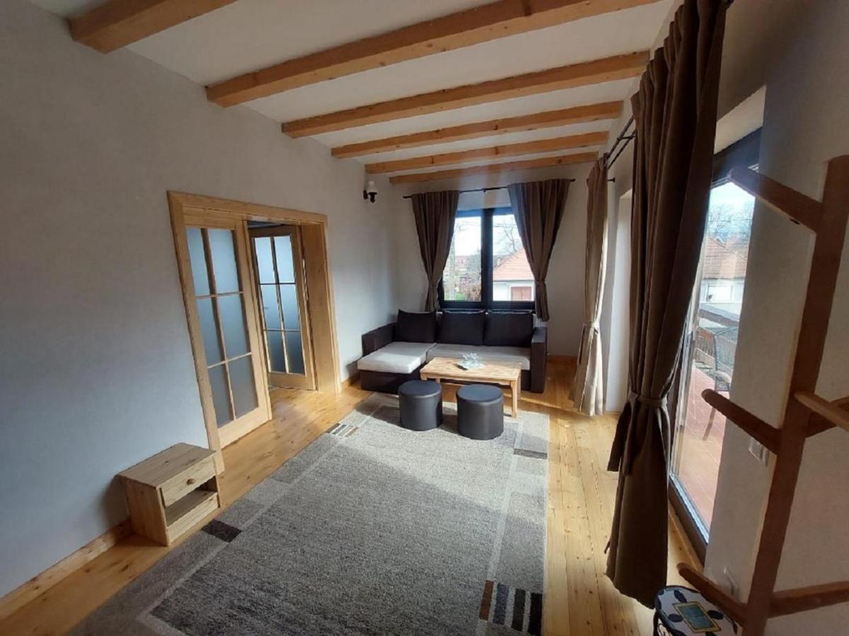 Casa Oaspeti Transfagarasan Appartement Cîrţişoara Buitenkant foto