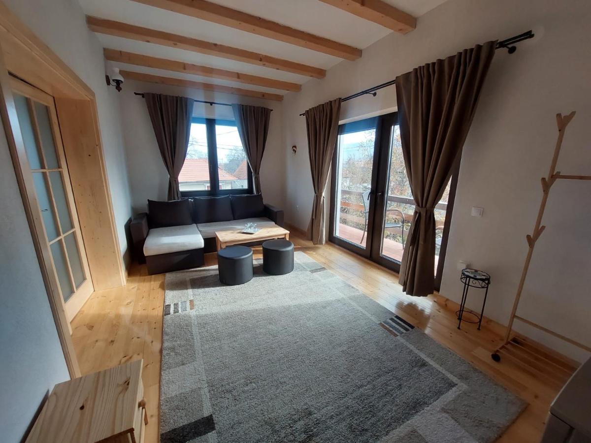 Casa Oaspeti Transfagarasan Appartement Cîrţişoara Buitenkant foto