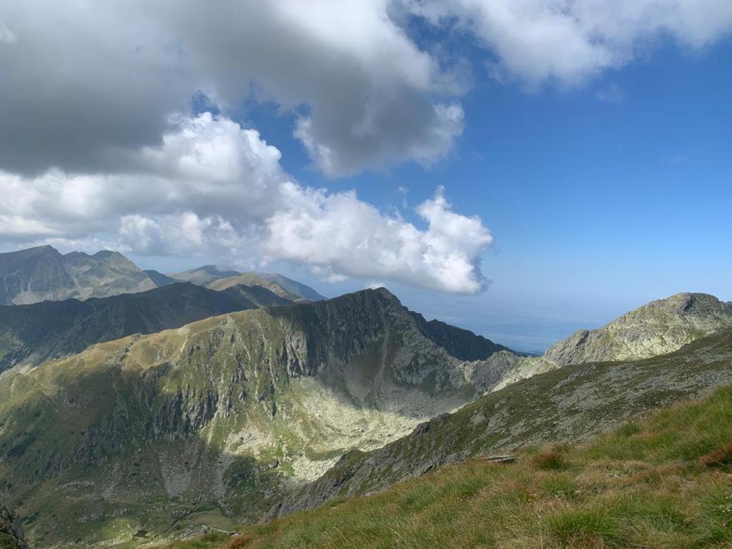 Casa Oaspeti Transfagarasan Appartement Cîrţişoara Buitenkant foto