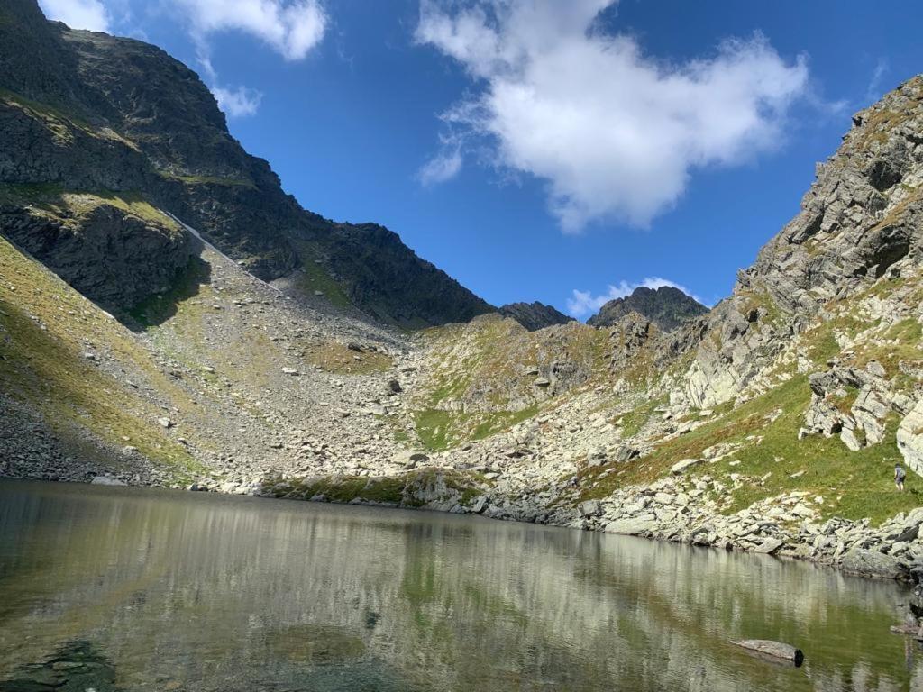 Casa Oaspeti Transfagarasan Appartement Cîrţişoara Buitenkant foto