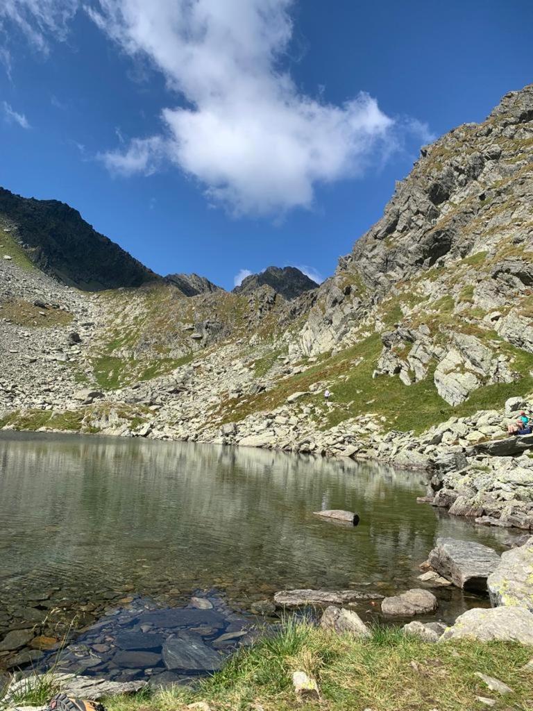 Casa Oaspeti Transfagarasan Appartement Cîrţişoara Buitenkant foto