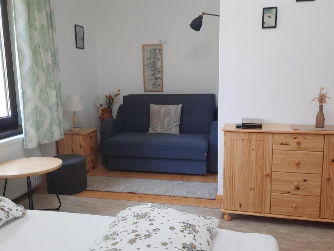 Casa Oaspeti Transfagarasan Appartement Cîrţişoara Buitenkant foto