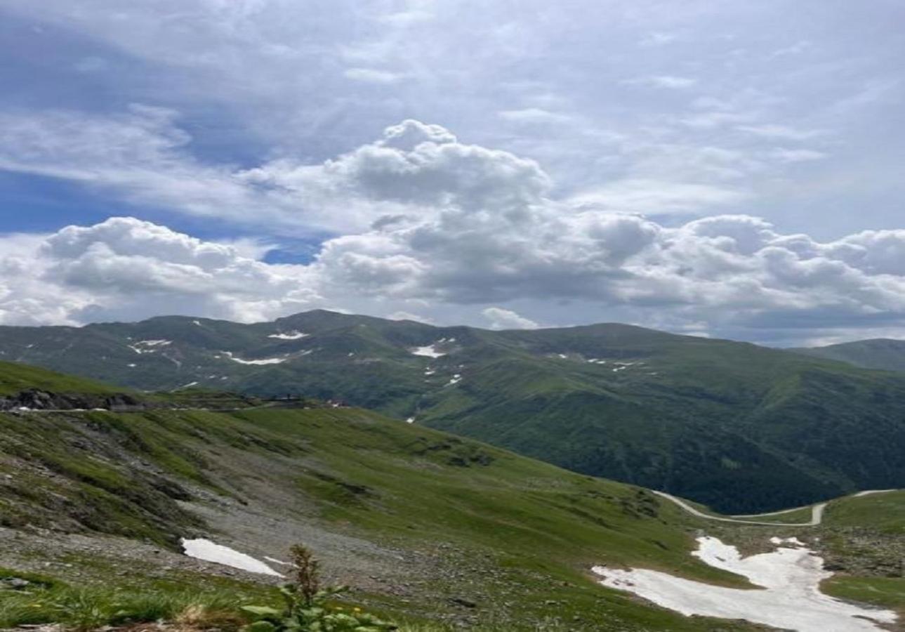 Casa Oaspeti Transfagarasan Appartement Cîrţişoara Buitenkant foto